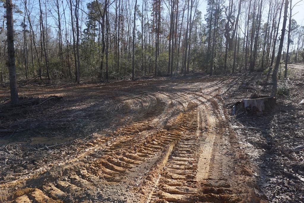 Wooded Land with Creek Access