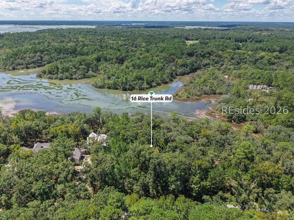 Picture 7