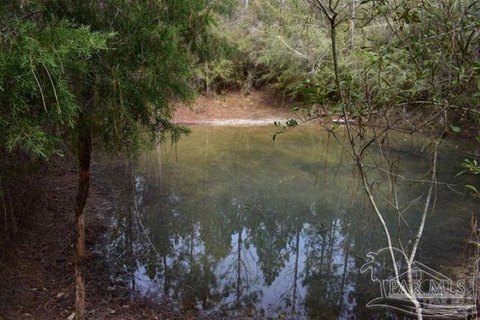 LAND - Milton, FL