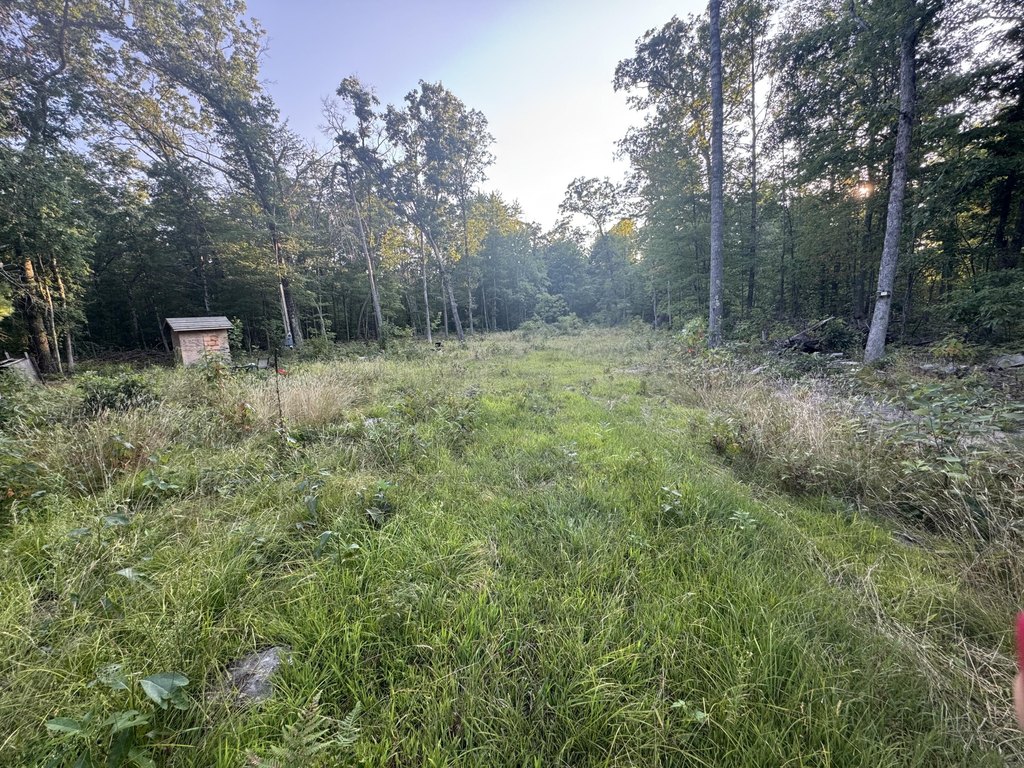 Picture 14