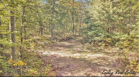 Land, Newaygo, MI