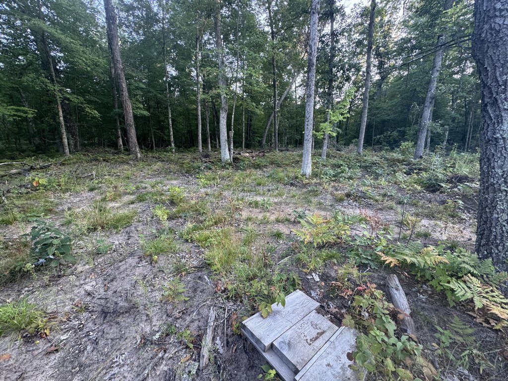 Picture 23