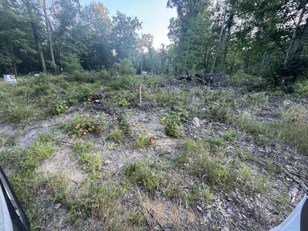 Picture 33