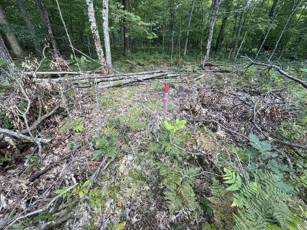 Picture 27