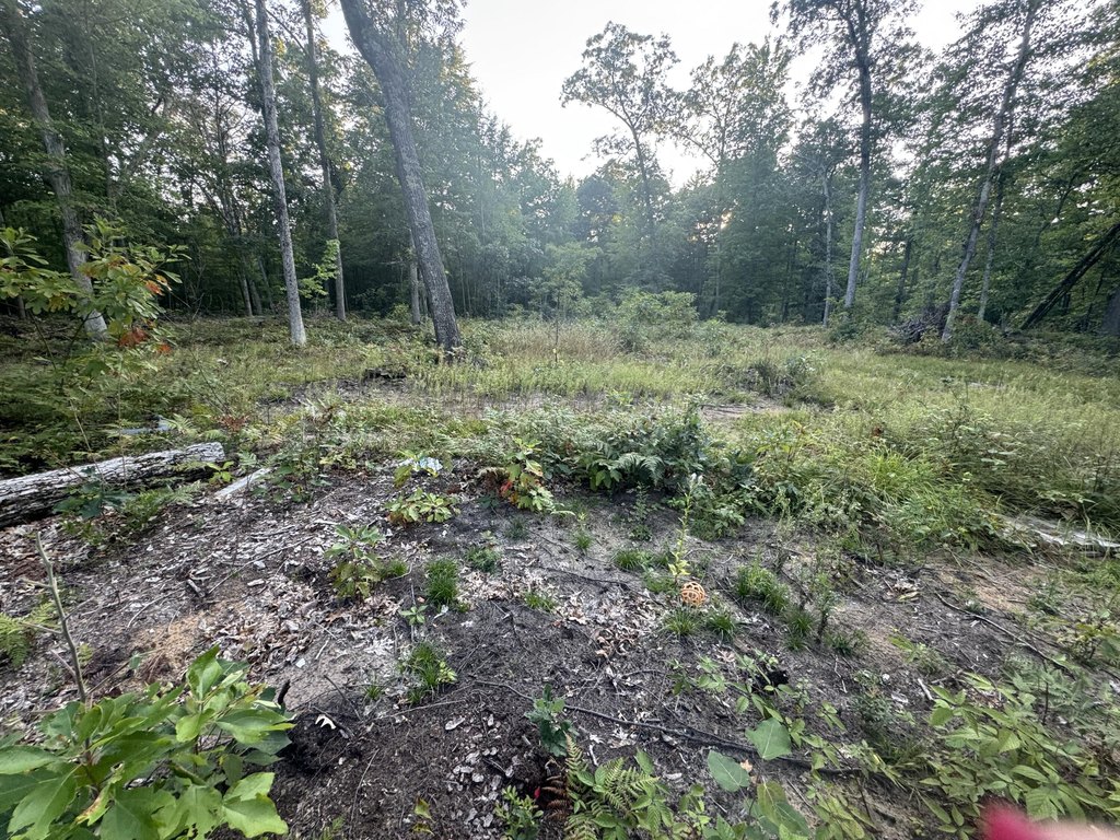 Picture 22