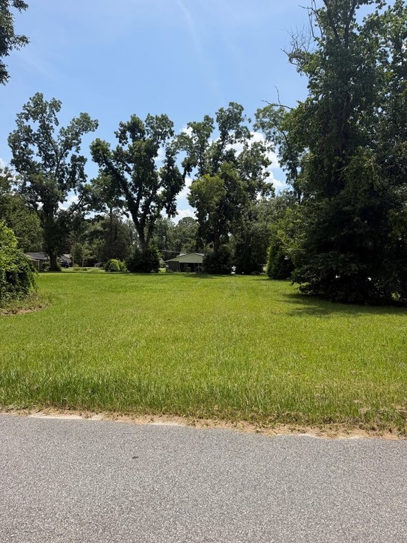 Picture 6
