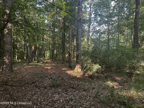 Land, Braxton, MS