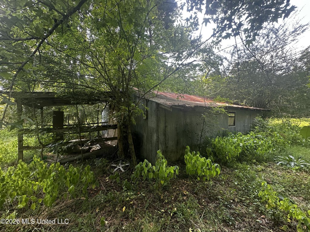 Picture 26