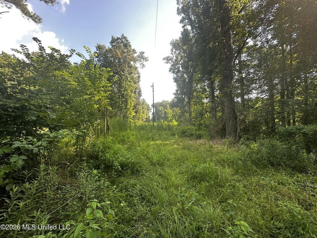 Picture 22