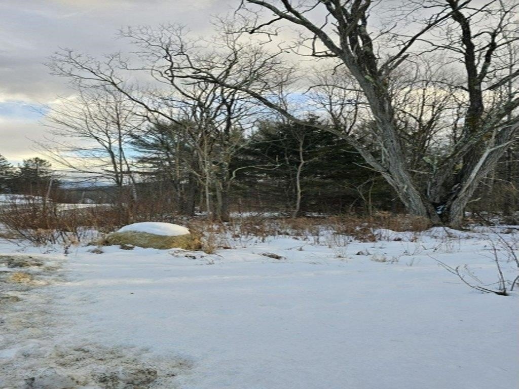 Picture 11