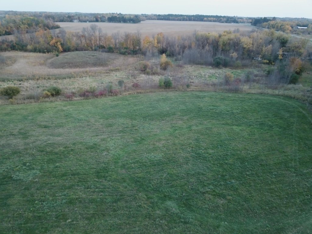 Picture 4