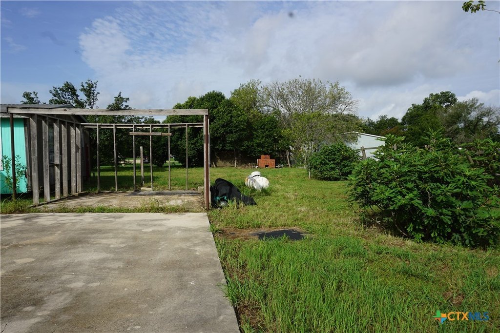 Picture 5