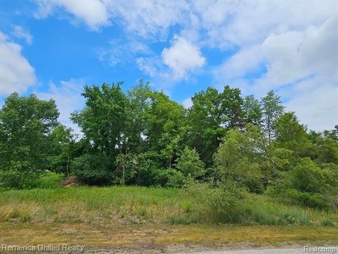 Vacant Land, Green Oak Twp, MI