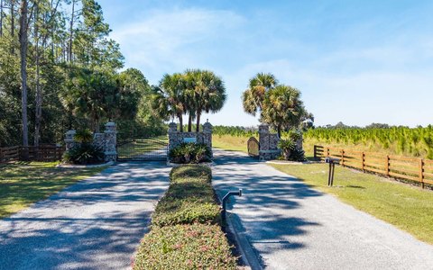 Vacant Land, Live Oak, FL