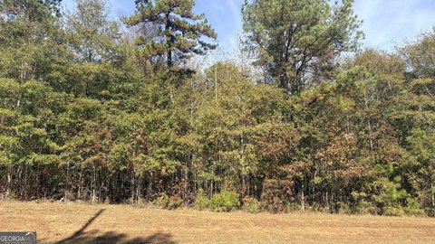 LaGrange Industrial Land Parcel