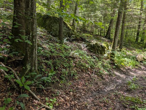 Land Near Red River Gorge