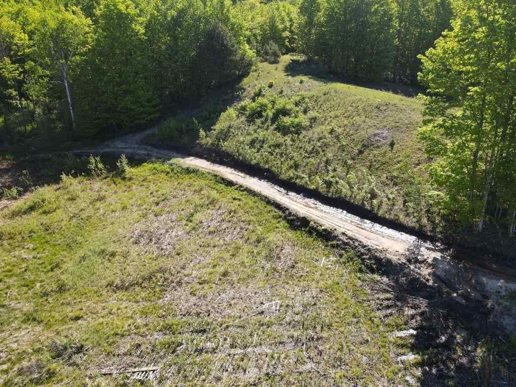 Picture 18