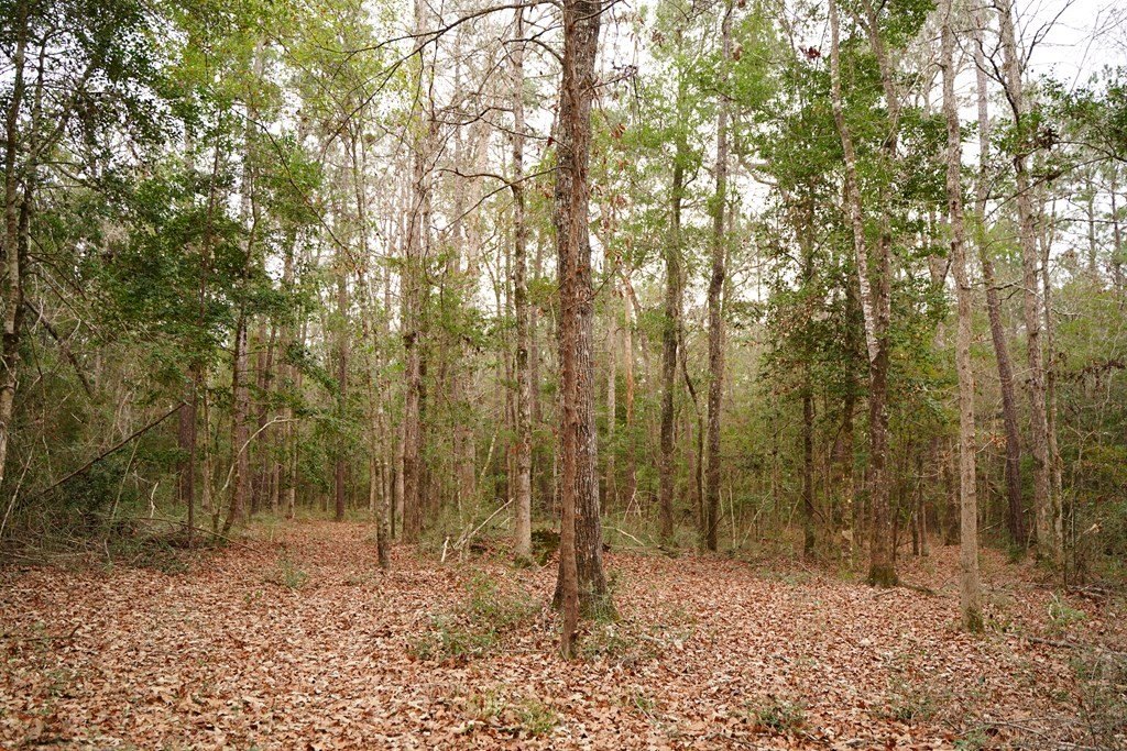 Picture 19