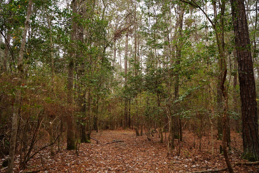Picture 23