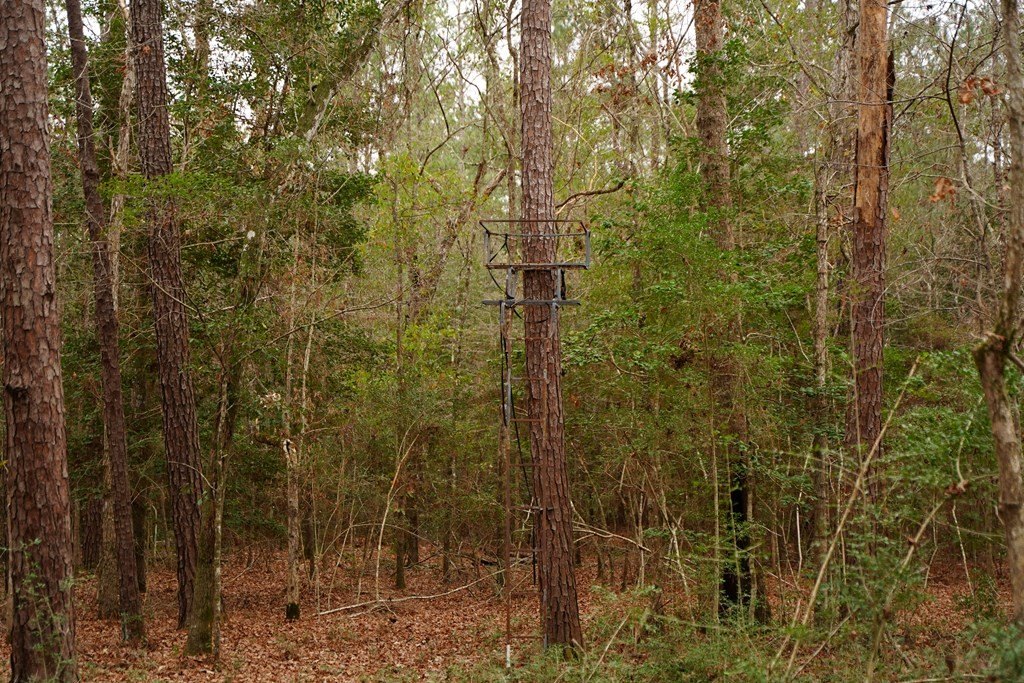 Picture 8