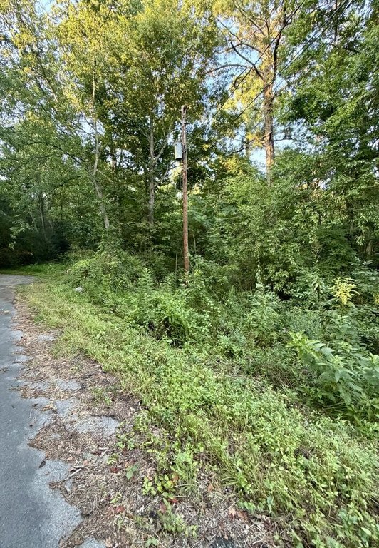 Picture 2