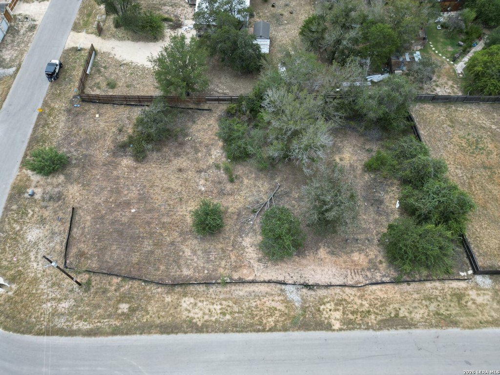 Picture 2