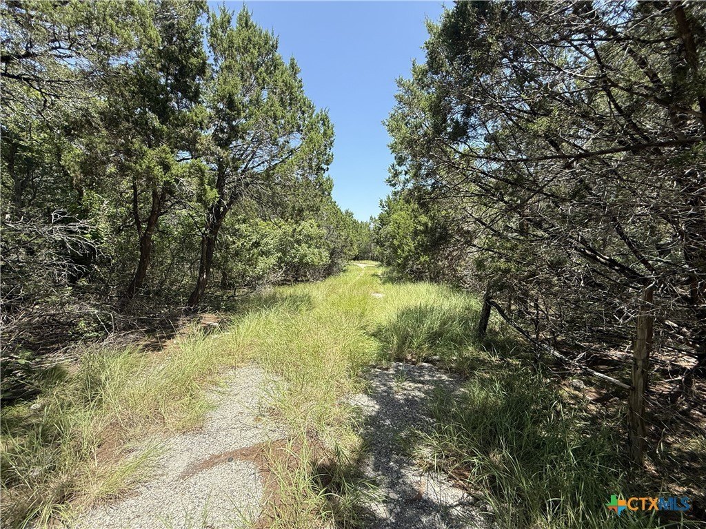 Picture 9