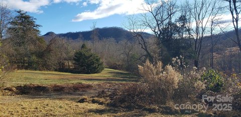 Unrestricted Land with Creek Access