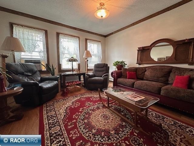 Picture 11