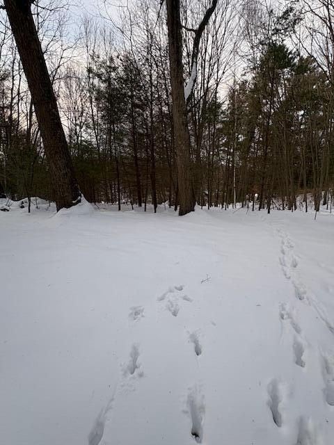 Picture 2