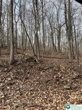Land, EAST STROUDSBURG, PA