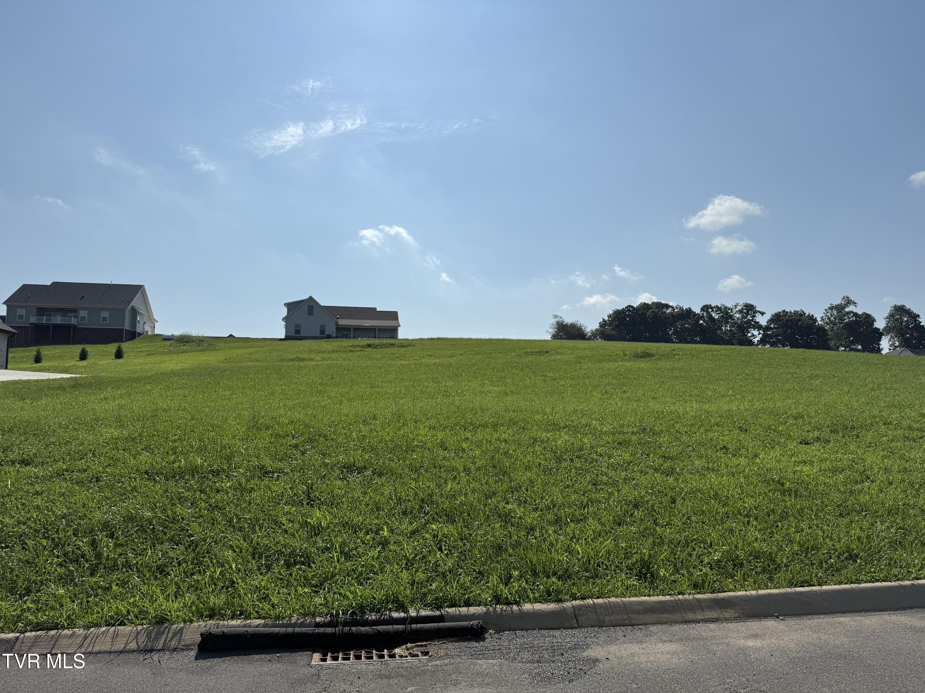 Residential Land in Jonesborough, TN
