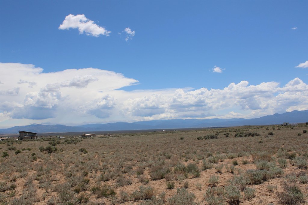 Picture 8