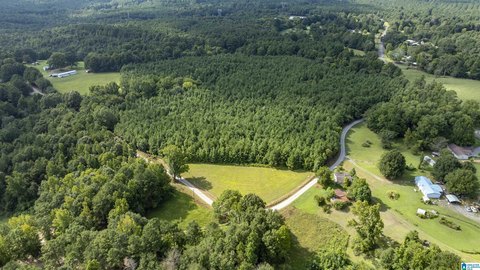 Hunting Land with Mature Timber