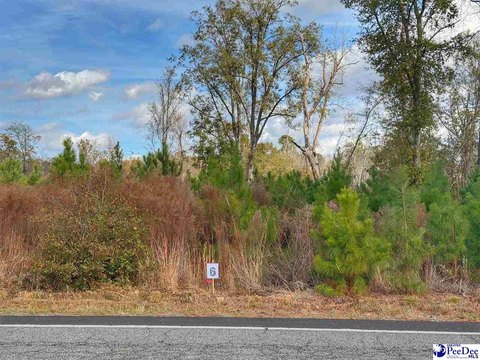 Residential Lot in Latta, SC