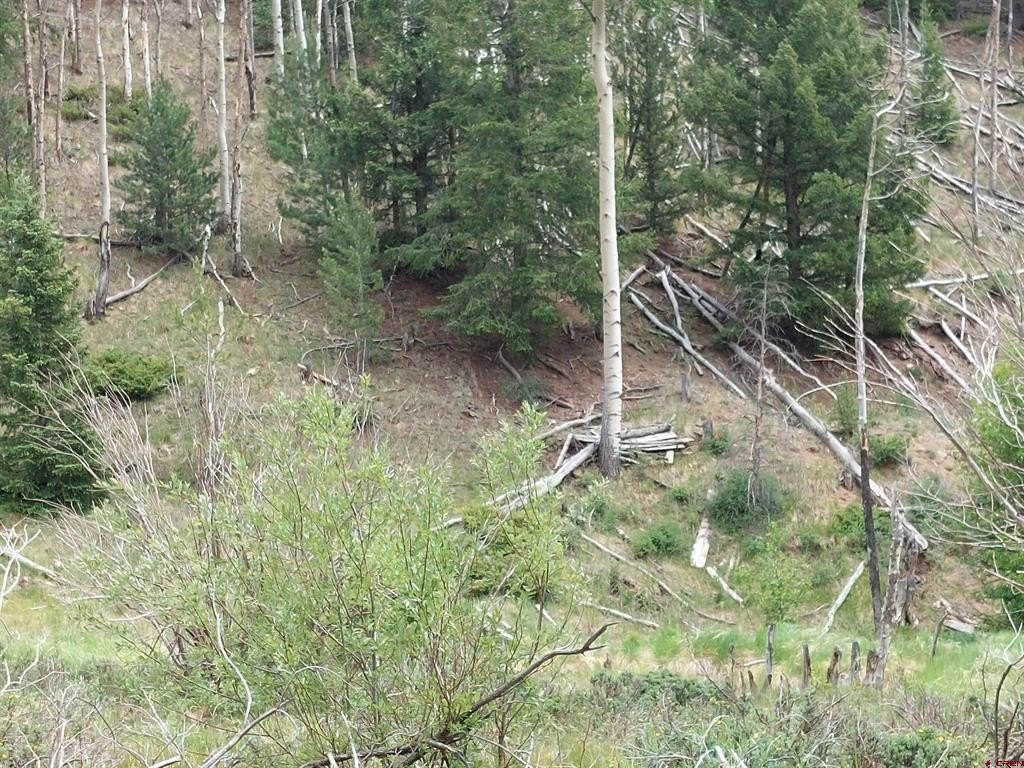Picture 7