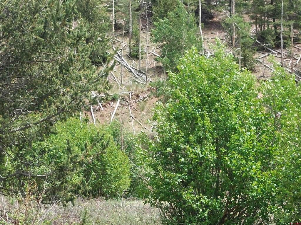 Picture 8