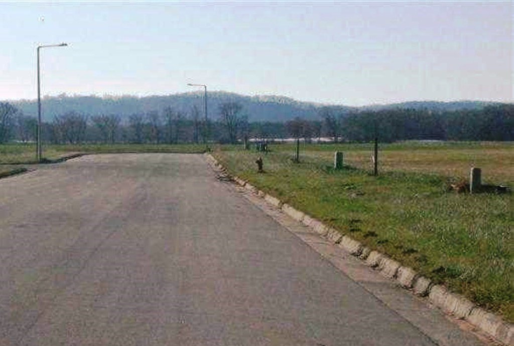 Picture 6