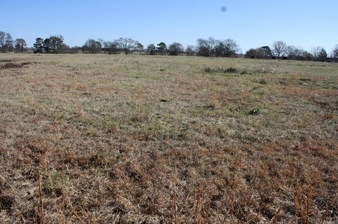 Nashville, AR Land For Sale