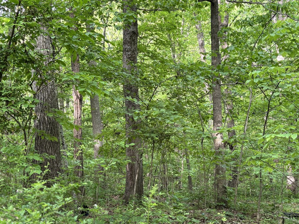 Picture 23