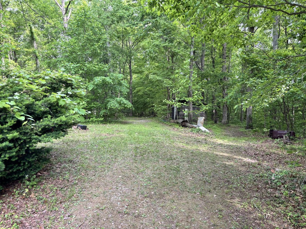 Picture 20