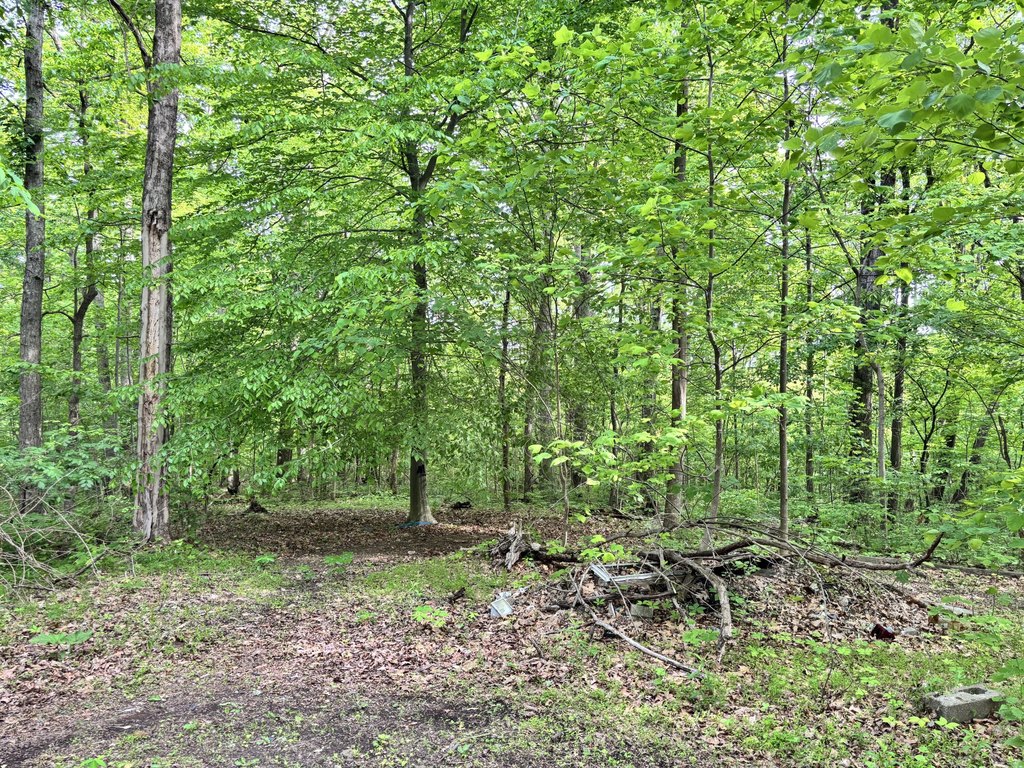 Picture 22