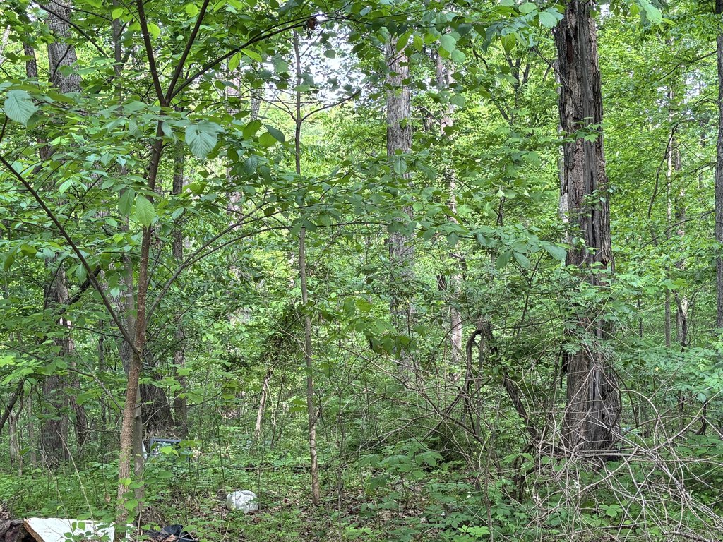 Picture 24