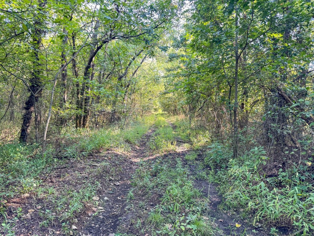 Picture 31