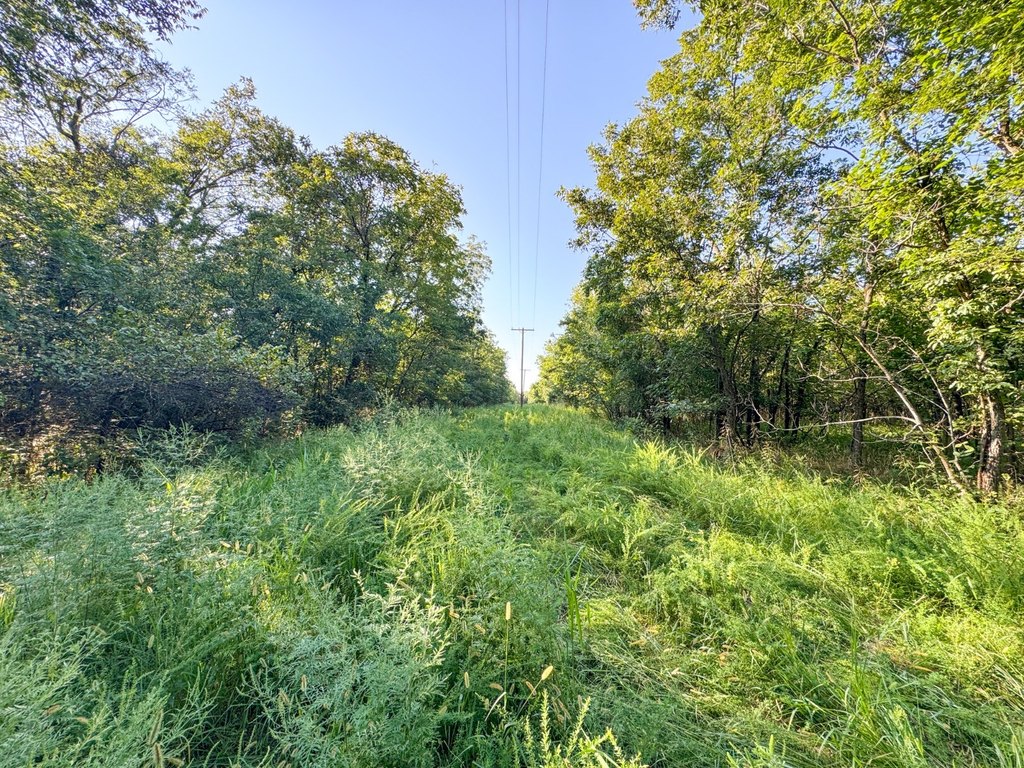 Picture 41