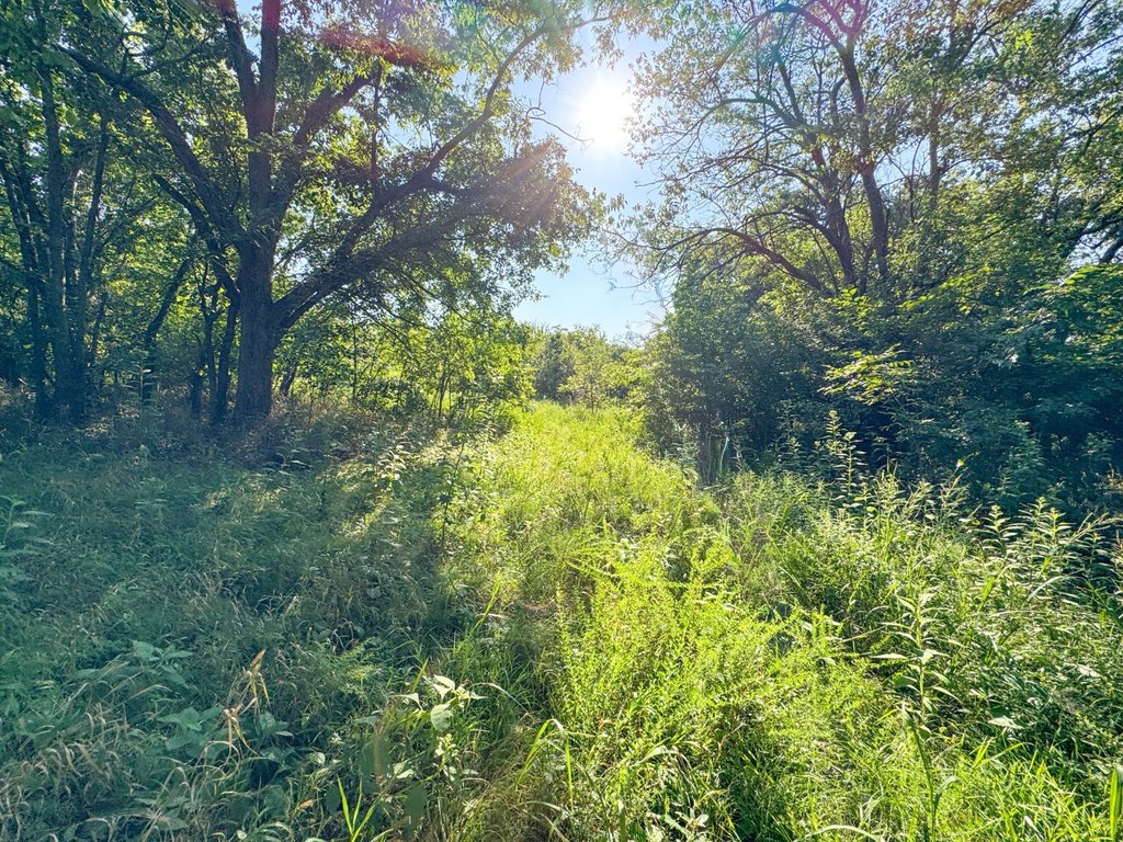 Picture 33