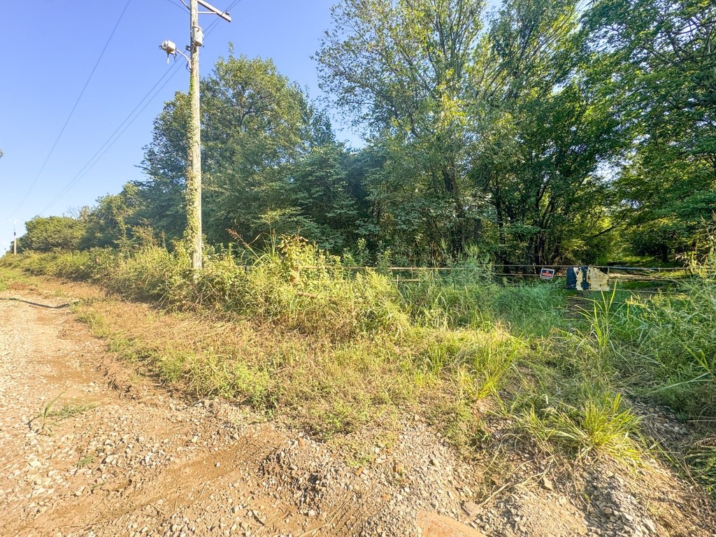 Picture 28