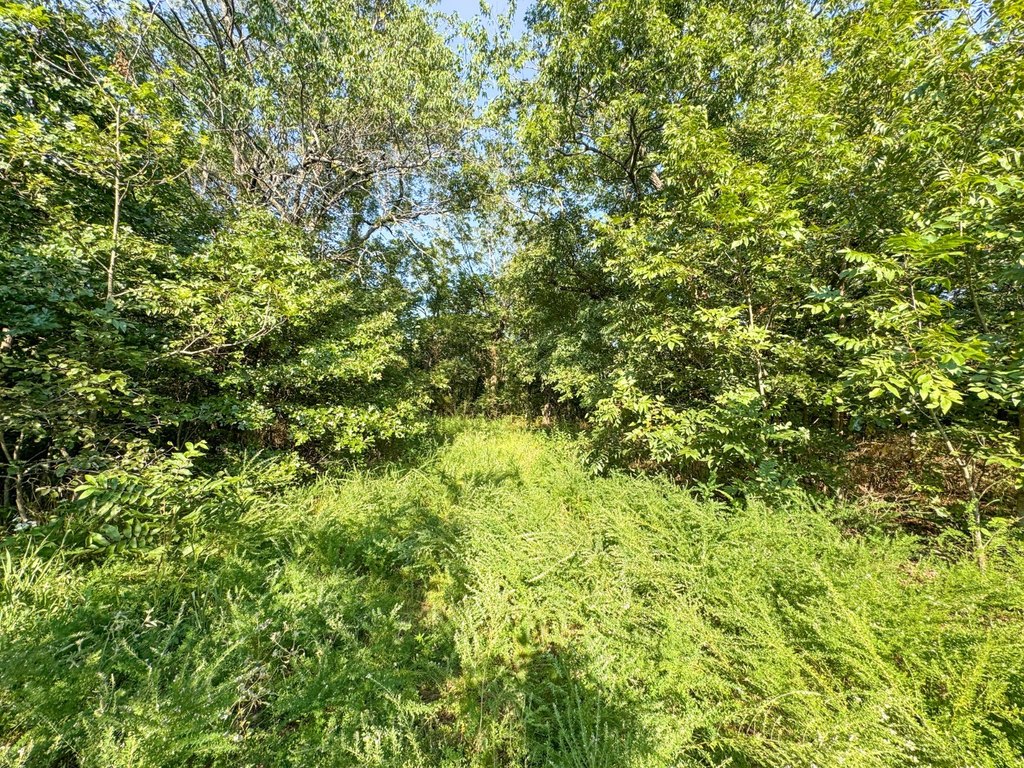 Picture 36