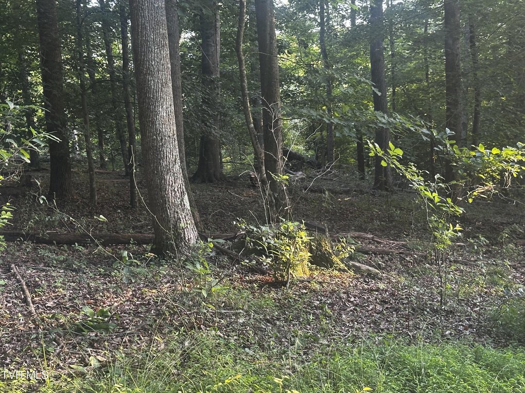 Picture 25
