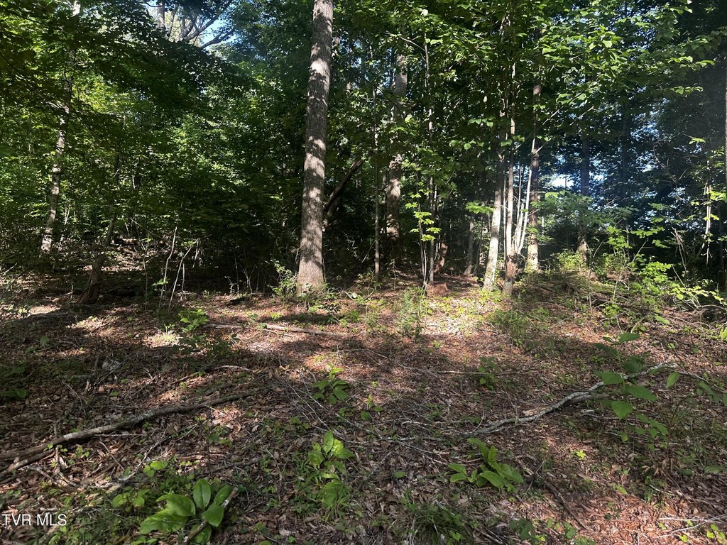 Picture 21